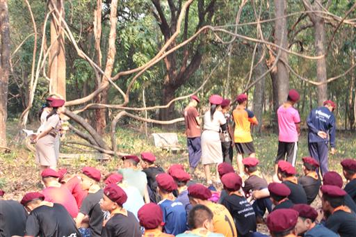 ���¡Ԩ�����ѧ�Ѻ_������_0184