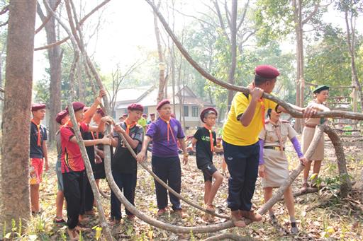 ���¡Ԩ�����ѧ�Ѻ_������_0227