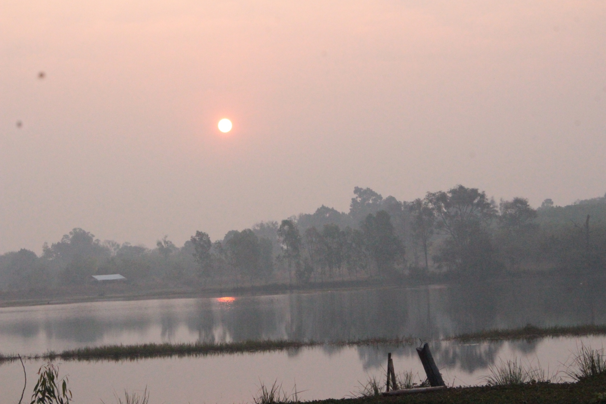 ���¡Ԩ�����ѧ�Ѻ_������_0085