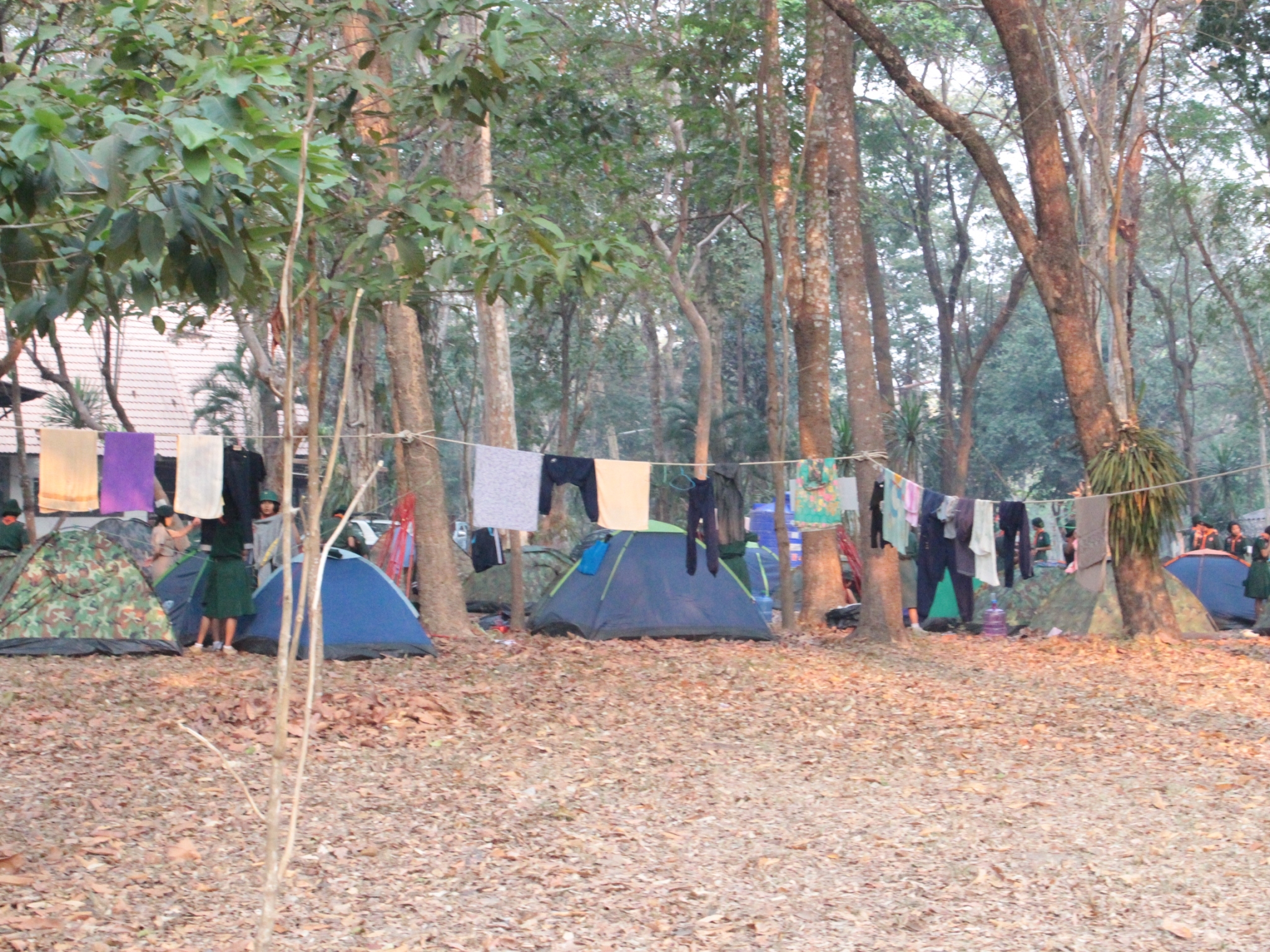 ���¡Ԩ�����ѧ�Ѻ_������_0107