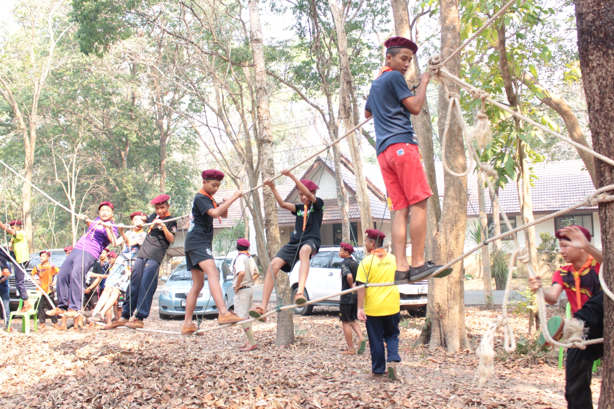 ���¡Ԩ�����ѧ�Ѻ_������_0189