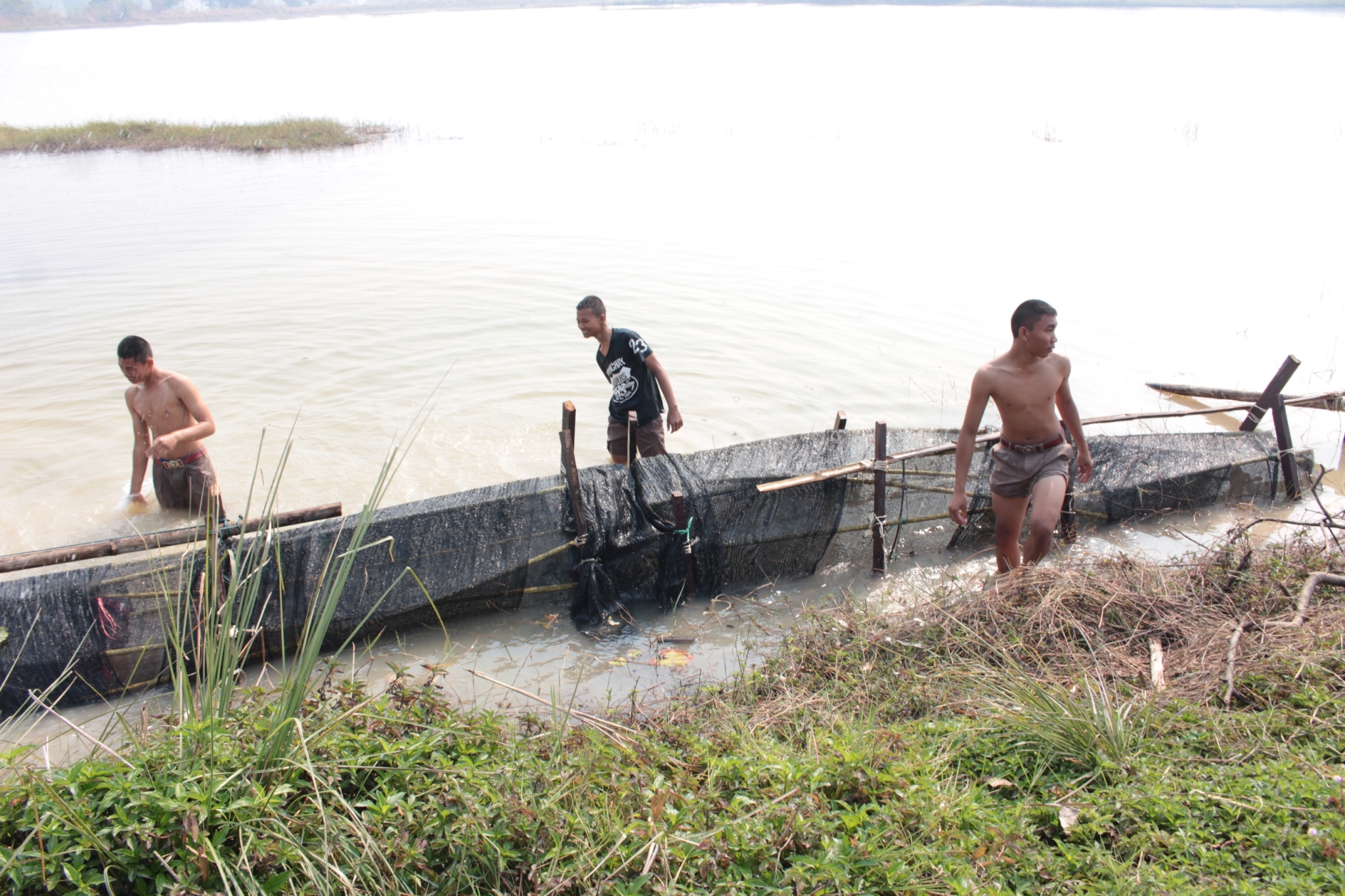 ���¡Ԩ�����ѧ�Ѻ_������_0197