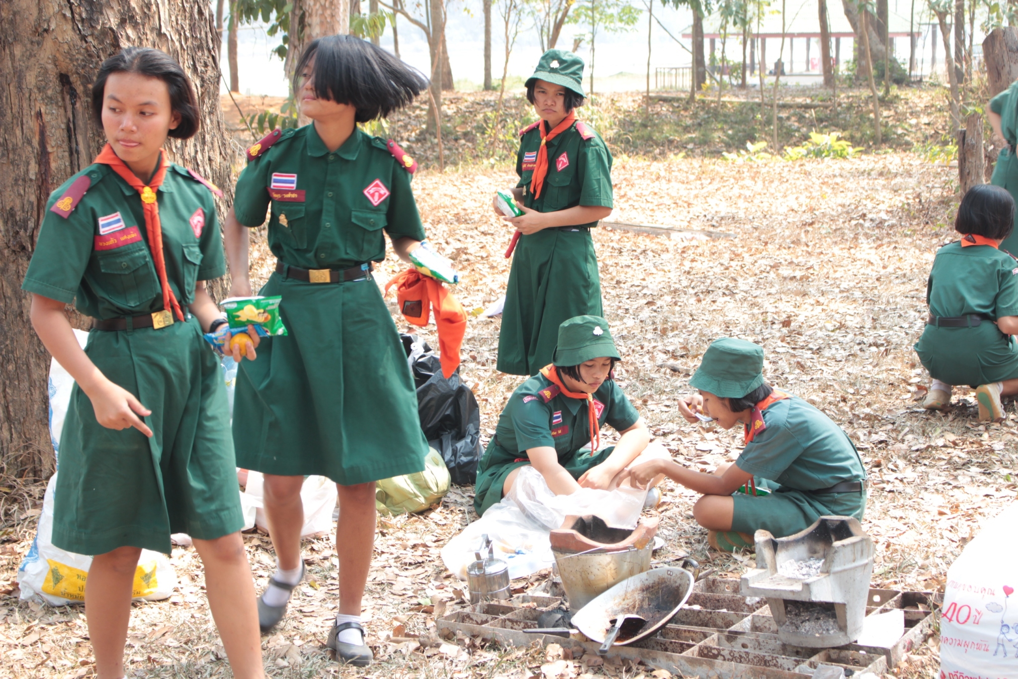 ���¡Ԩ�����ѧ�Ѻ_������_0253