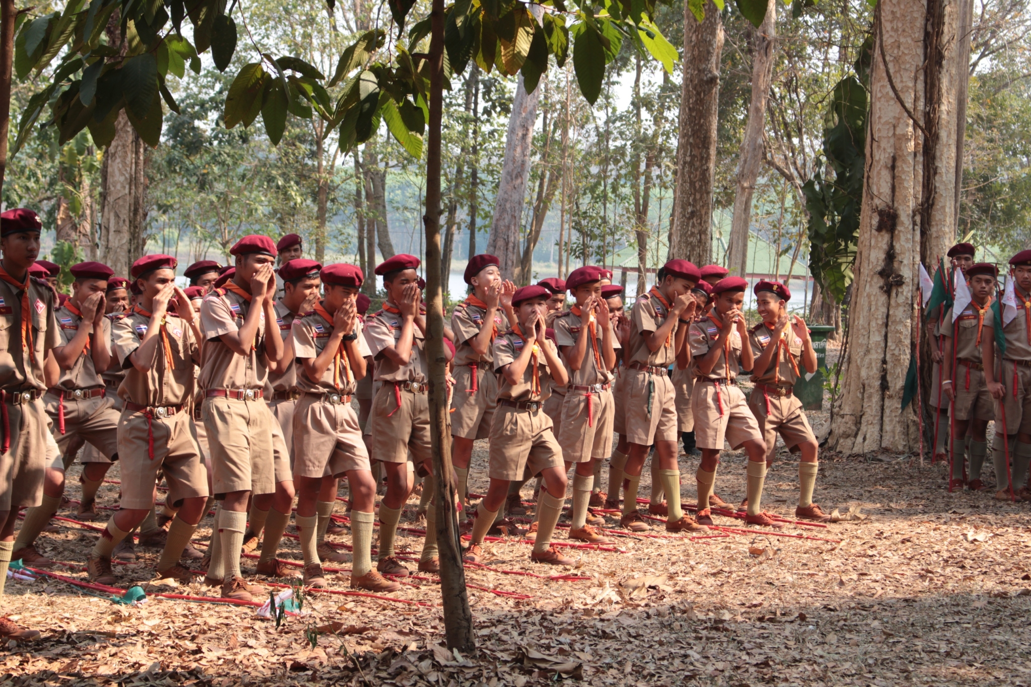 ���¡Ԩ�����ѧ�Ѻ_������_0295