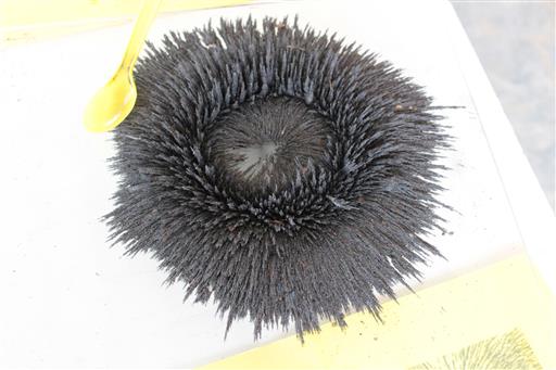 �ѹ�Է�� ���_180829_0054