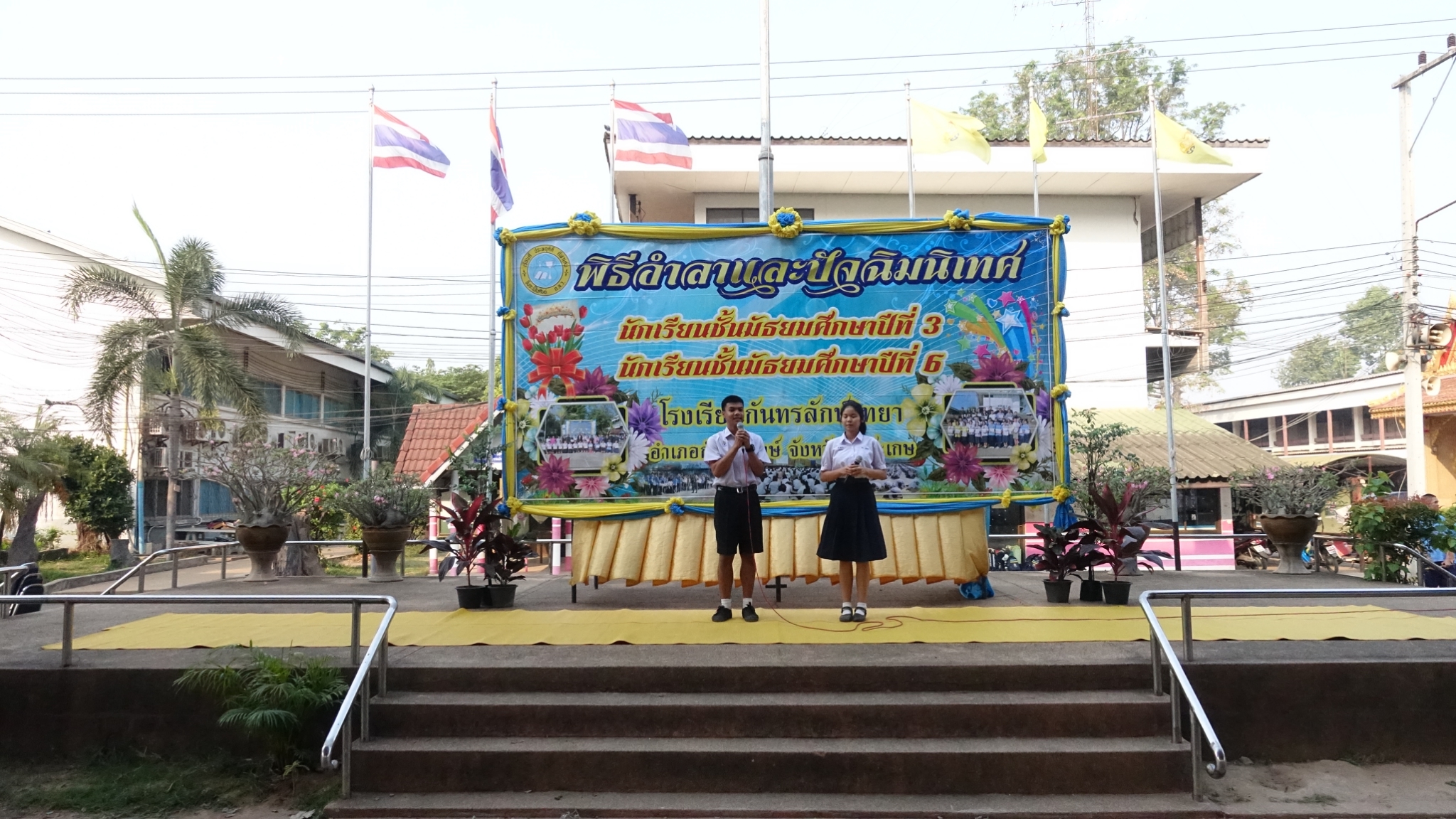 �Ѩ��� �.3, �.6_������_0100