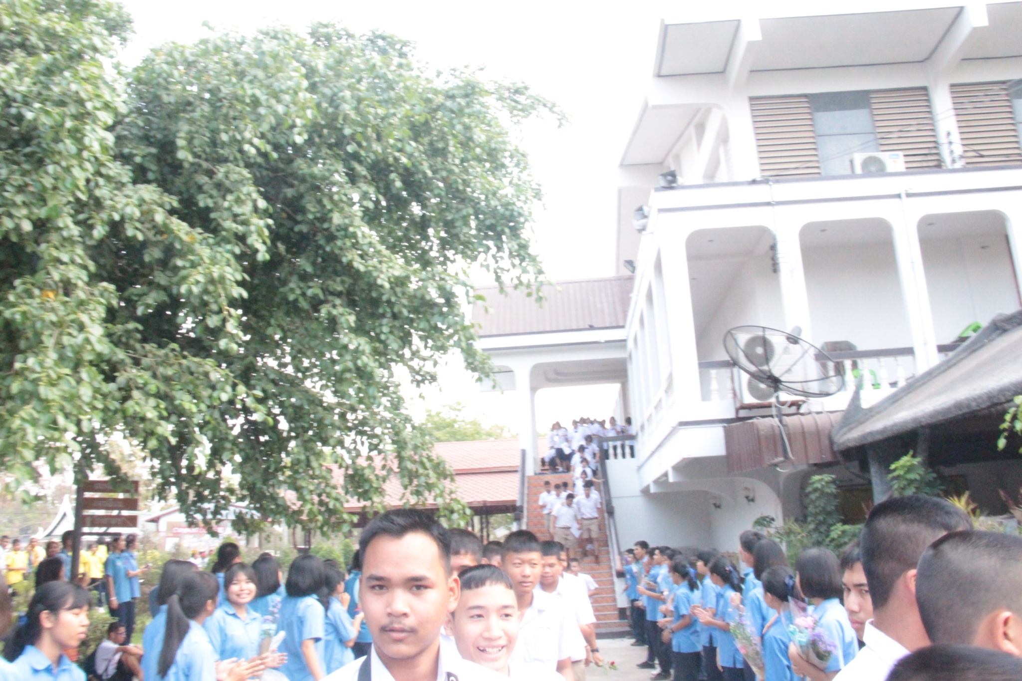 �Ѩ��� �.3, �.6_������_0115