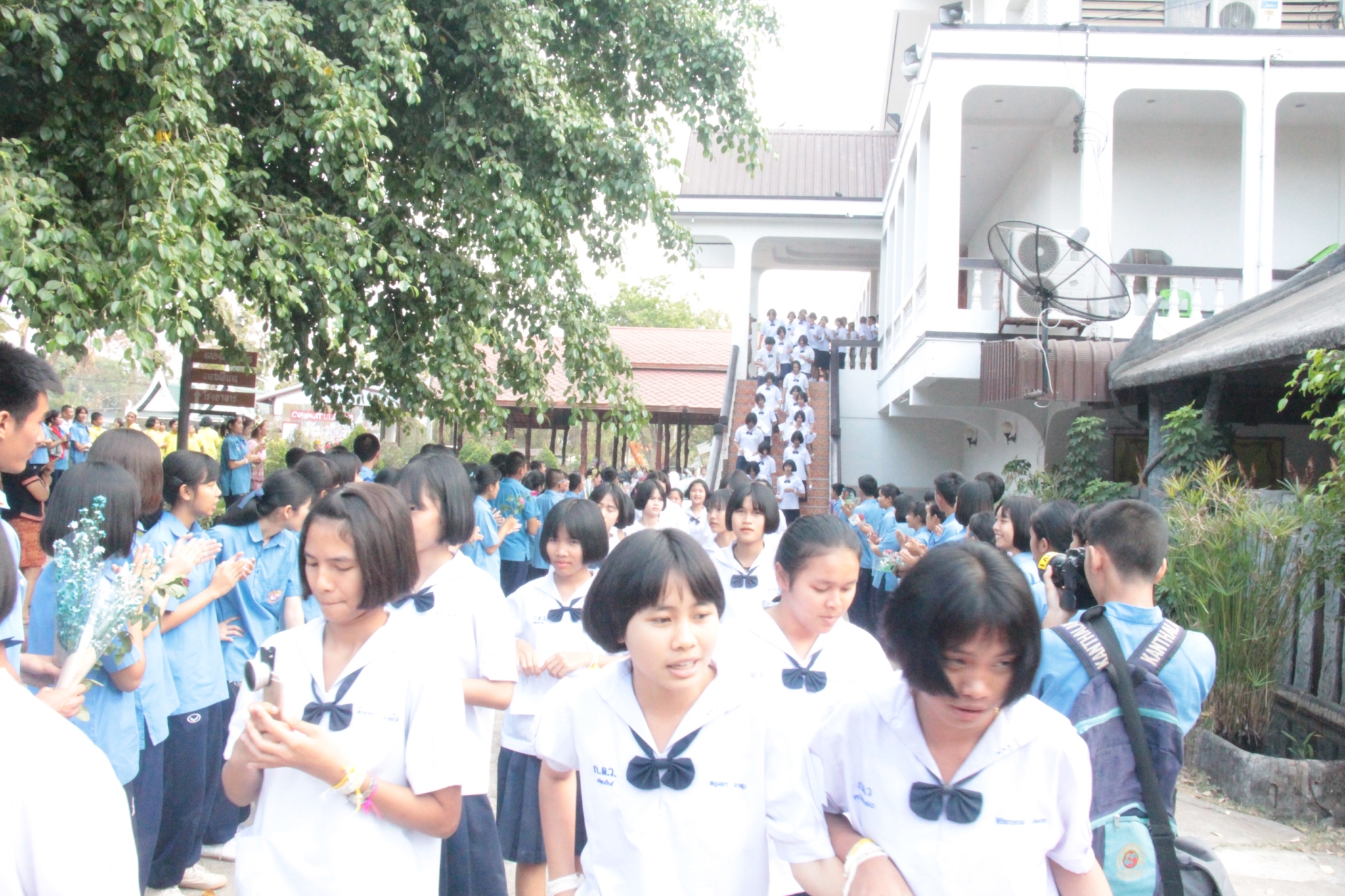 �Ѩ��� �.3, �.6_������_0117