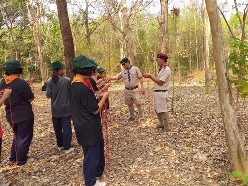 �١���� (194)