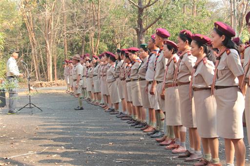 �١���� (233)