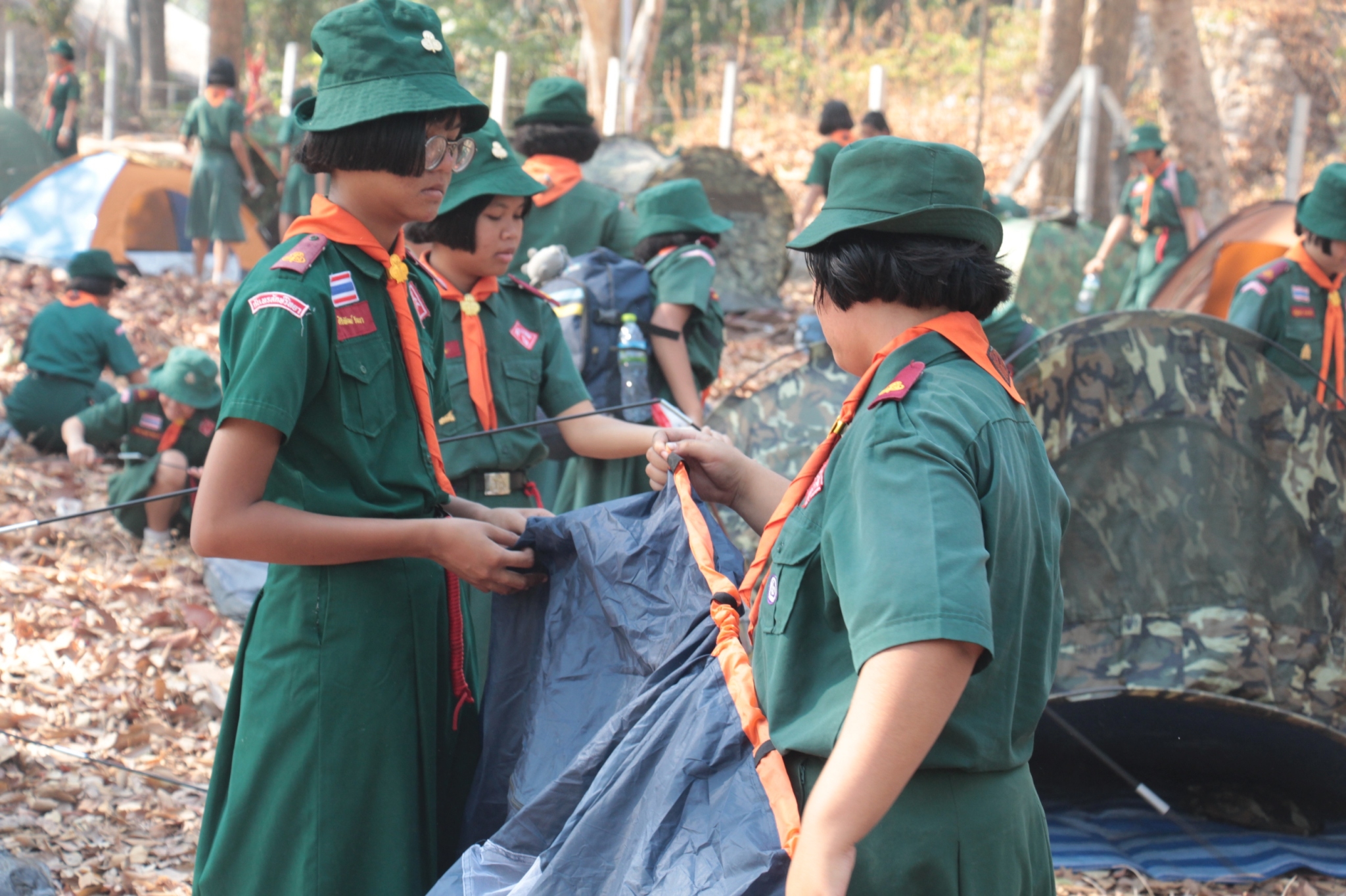 �١���� (275)