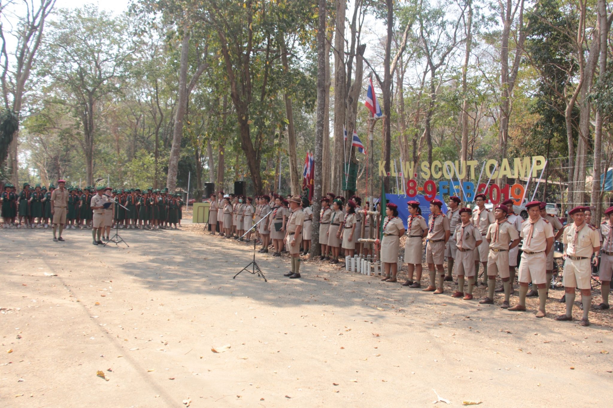 �١���� (342)