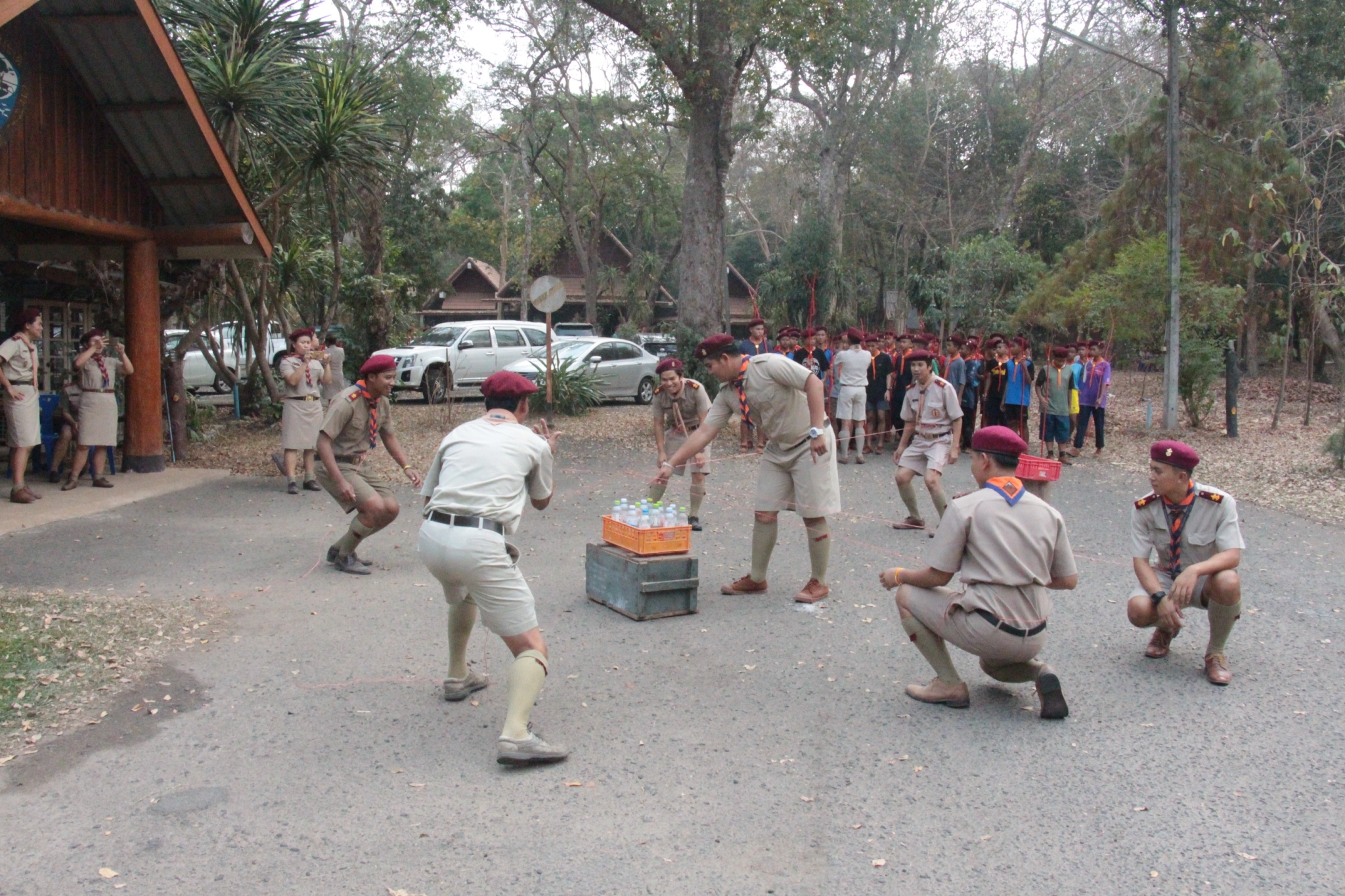 �١���� (378)