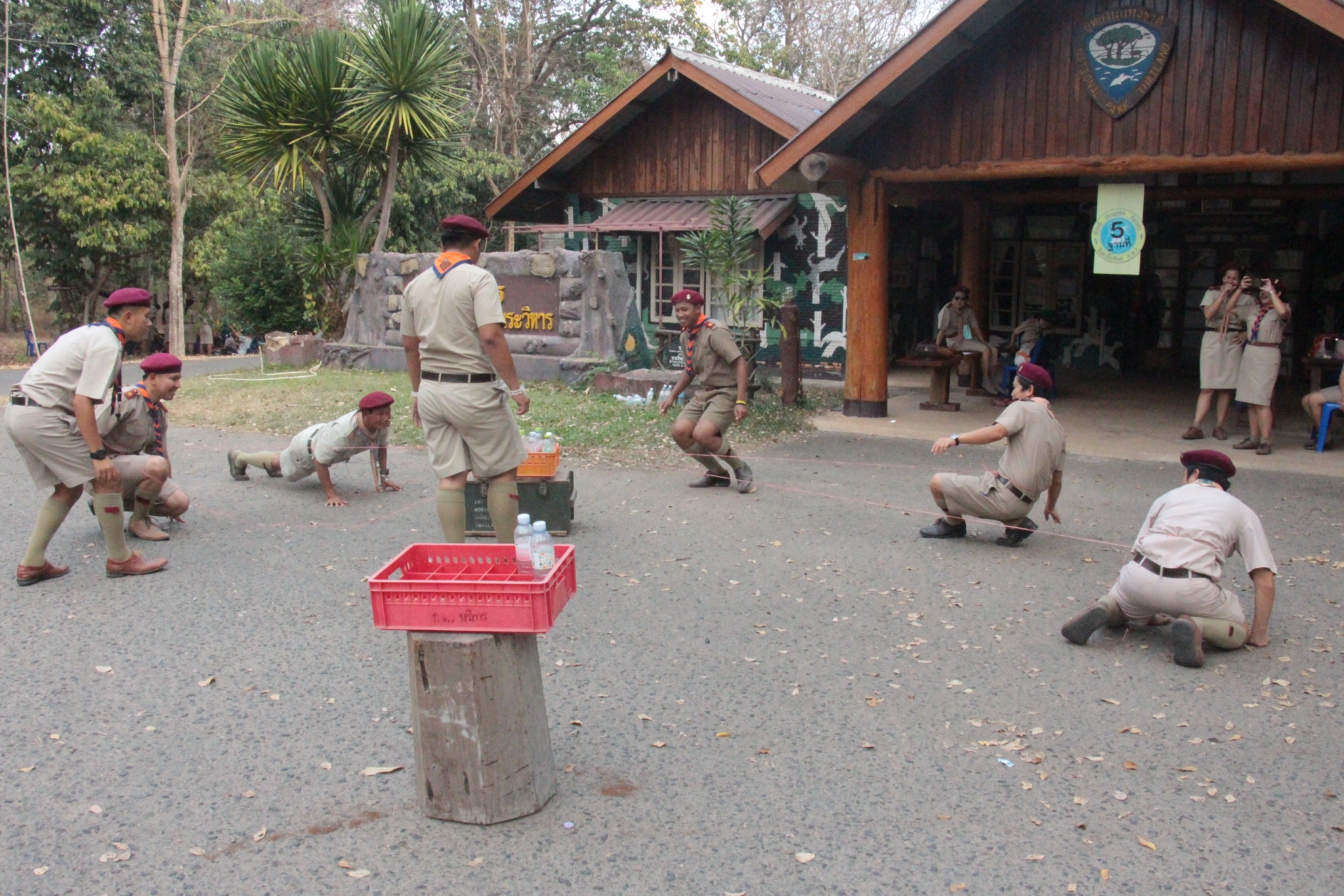 �١���� (382)