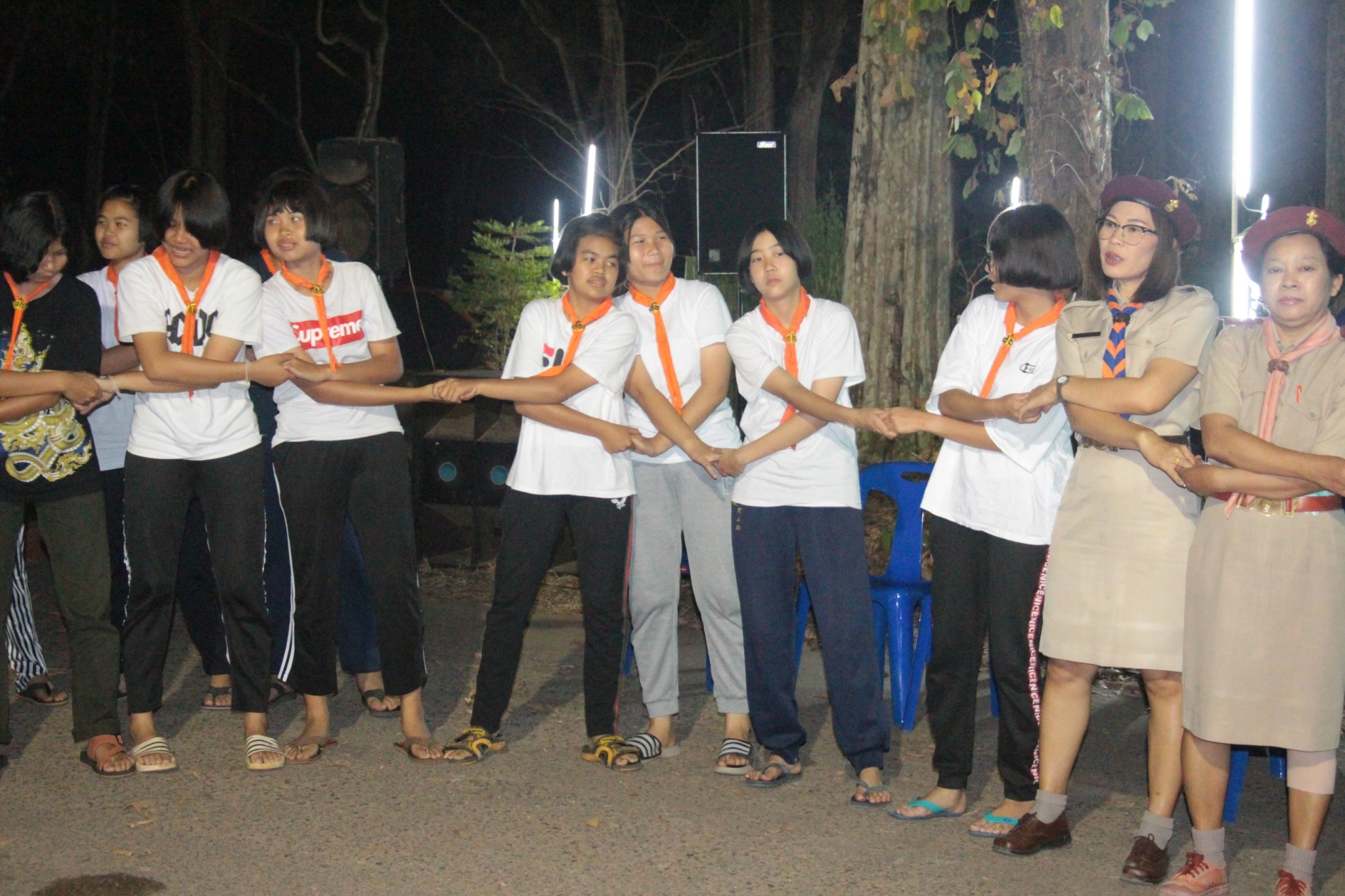 �١���� (516)