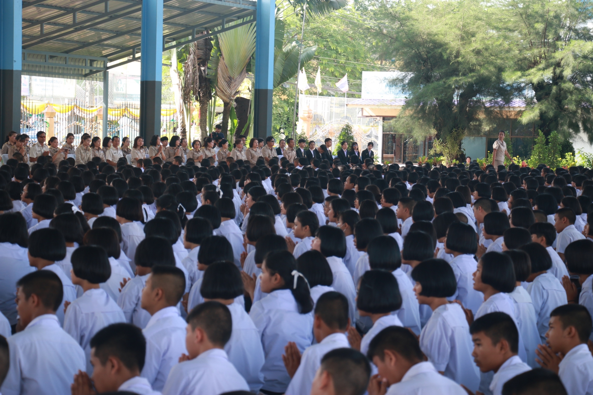 ������ 2562_190614_0659